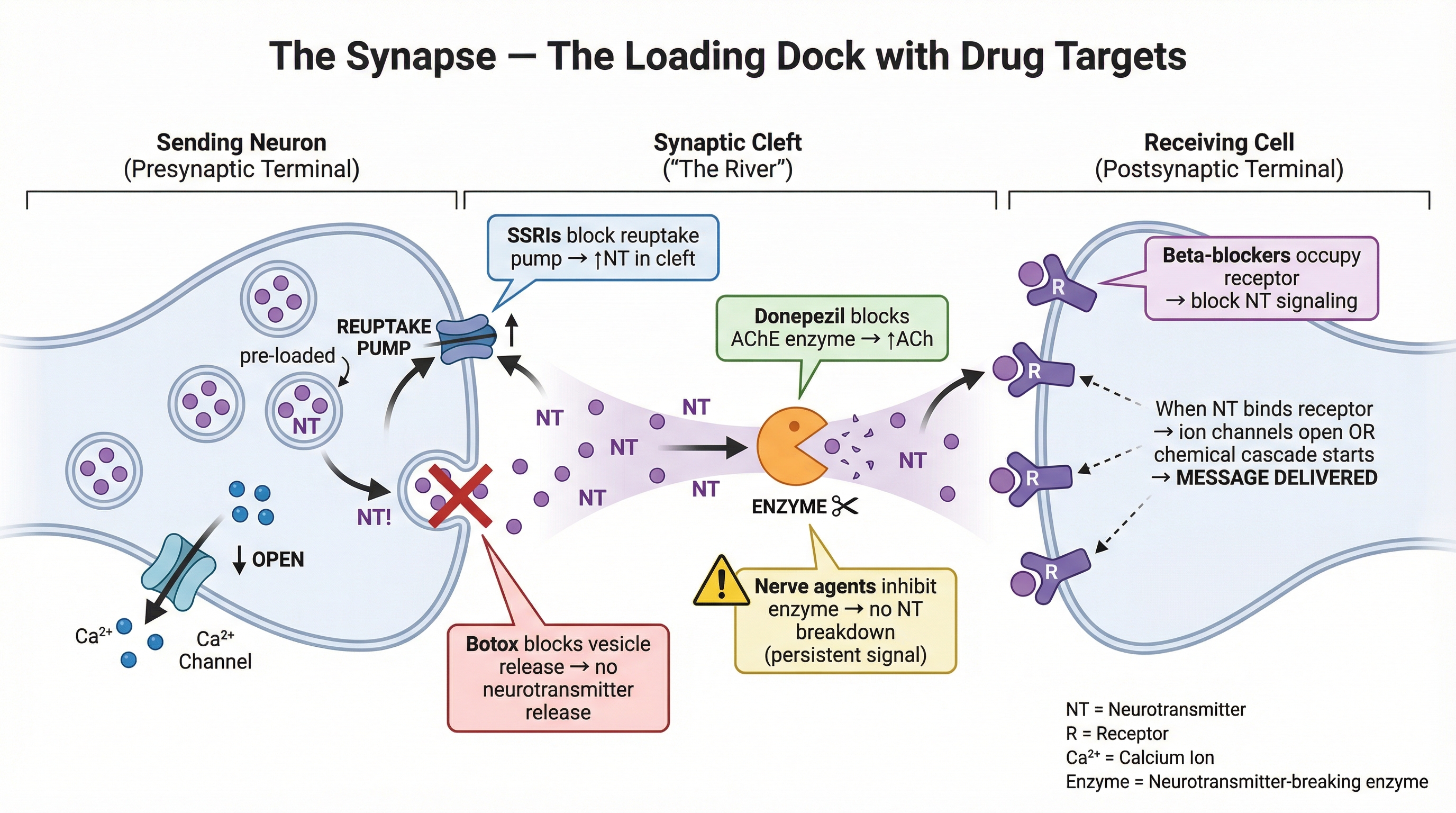 Electrical language preview