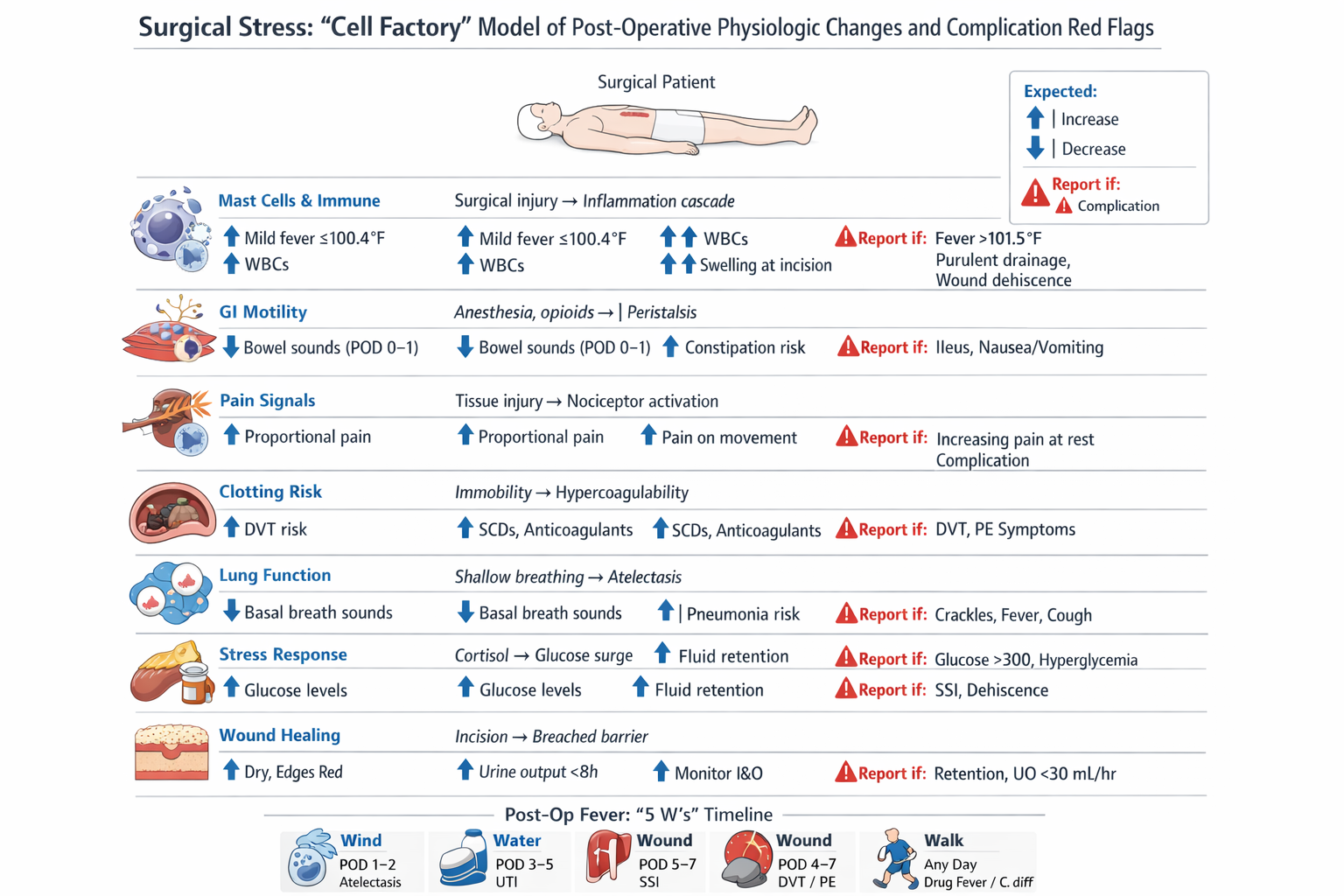Shift Survival Sim Lab pathway